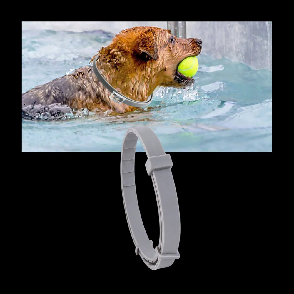 Parasite Repellent Pet Collar