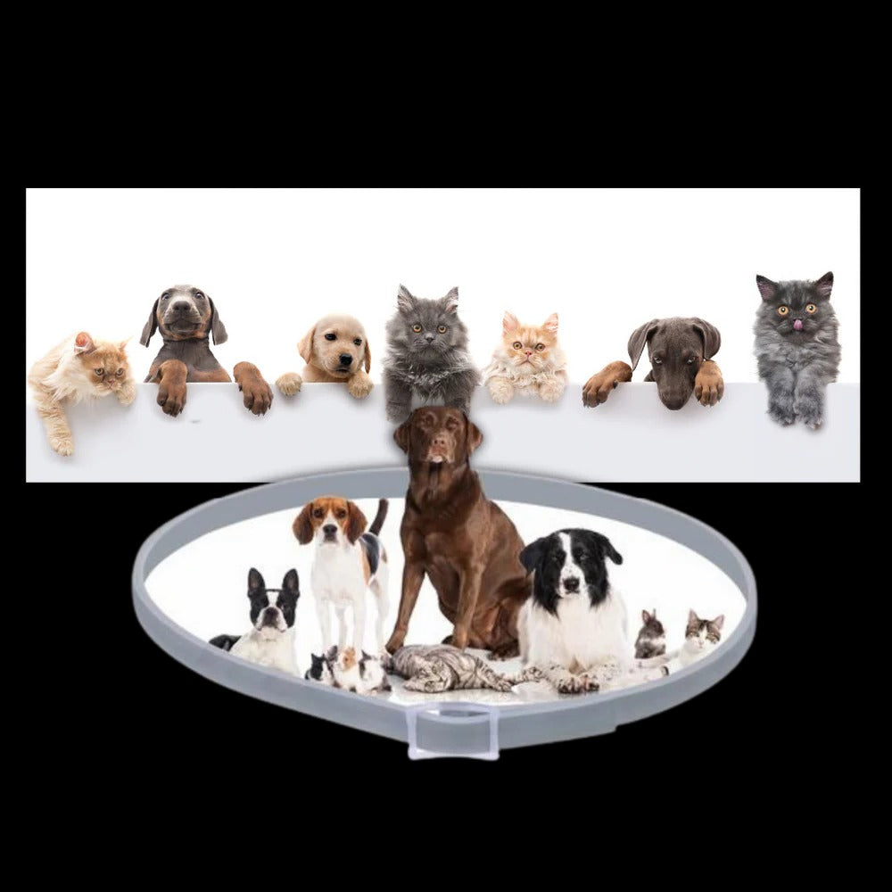 Parasite Repellent Pet Collar