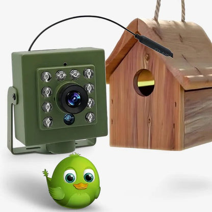 HD WiFi Bird Nest Camera