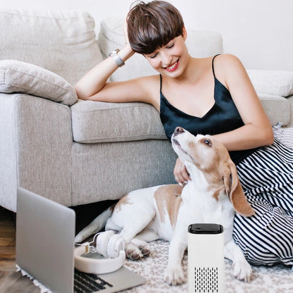 Pet Air Purifier