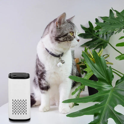 Pet Air Purifier