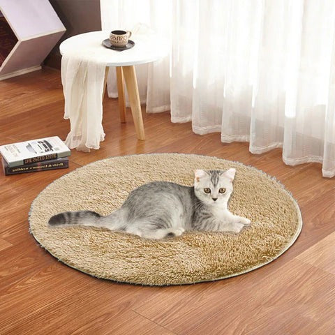 USB Heated Pet Cushion