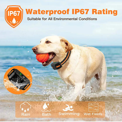Remote Dog Training E-Collar