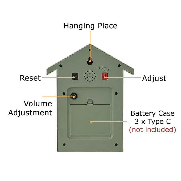 Cuckoo Clock with Decorative Design