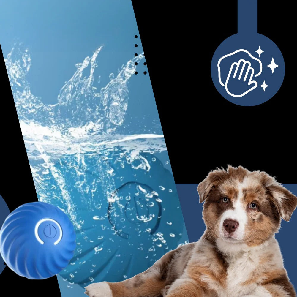 Interactive Obstacle-Avoiding Dog Ball