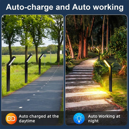 Solar Pathway Lights