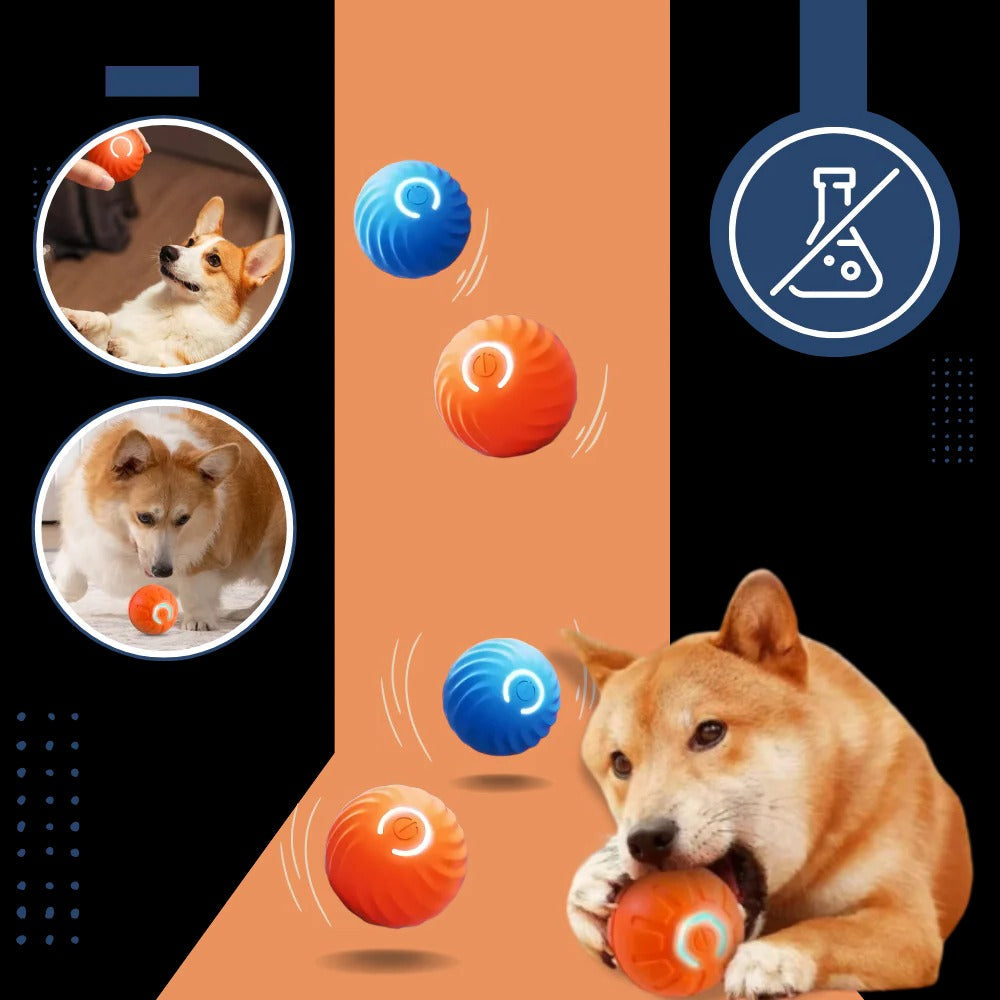 Interactive Obstacle-Avoiding Dog Ball