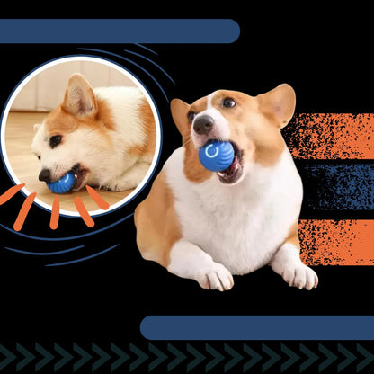 Interactive Obstacle-Avoiding Dog Ball