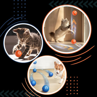 Interactive Obstacle-Avoiding Dog Ball