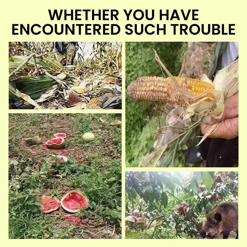 Beast Repellent Solar Warning Lights