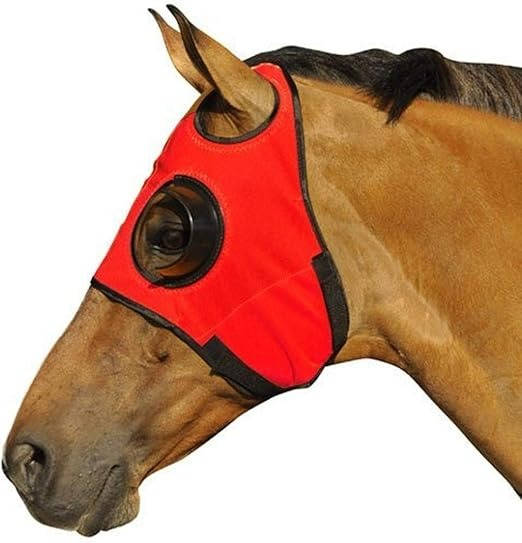 Blinders For Horse