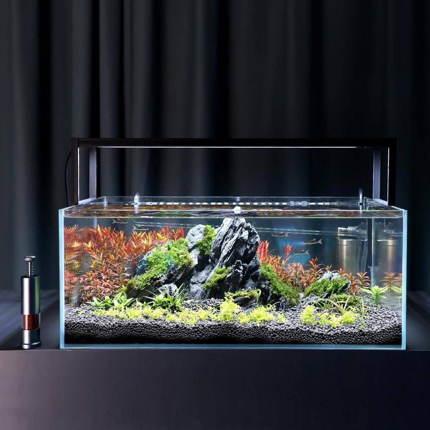 Mini Fish Feeder Aquarium