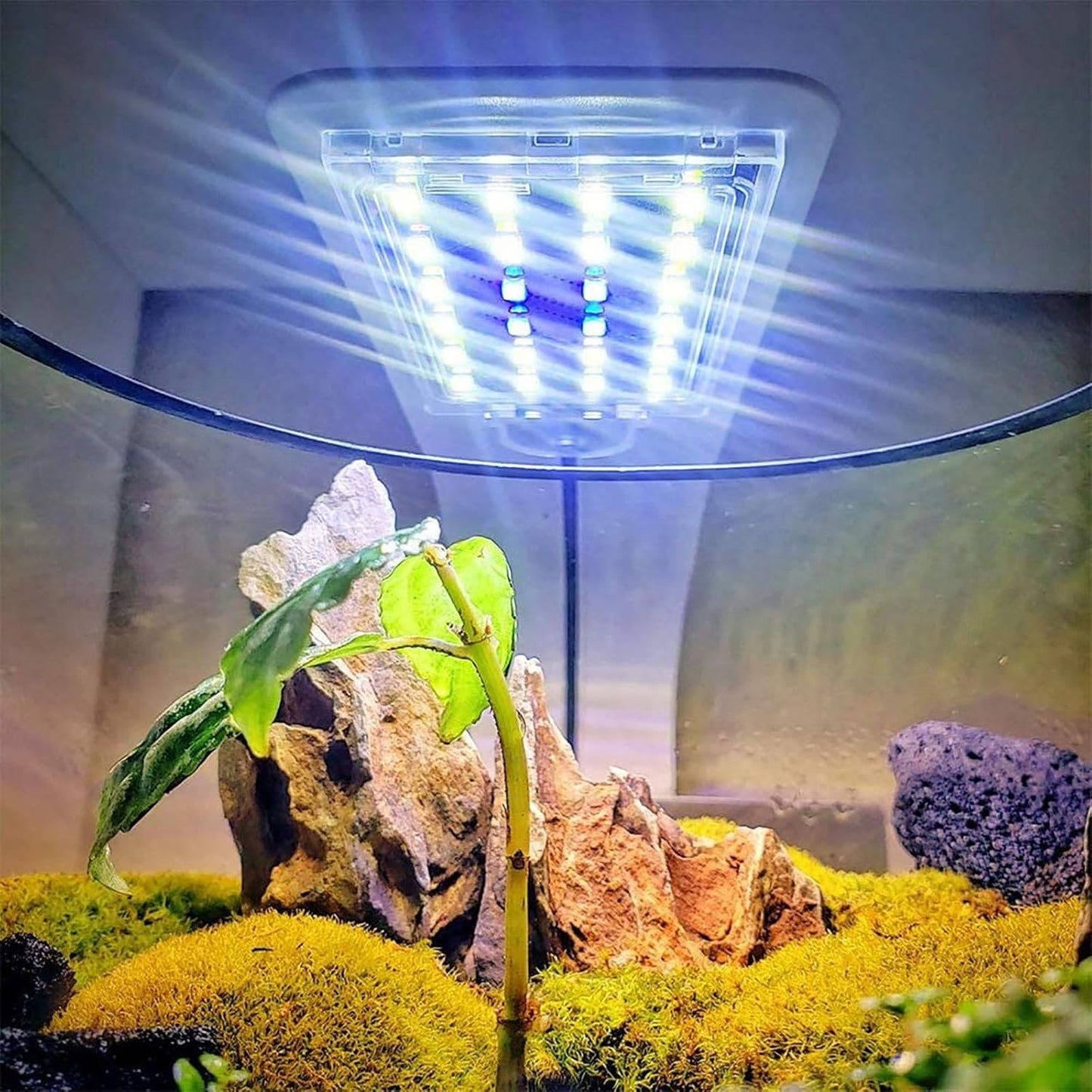 Super Slim Led Fish Tank Aquarium Light Aquatic Plant