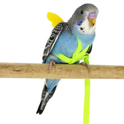 Parrot Bird Harness
