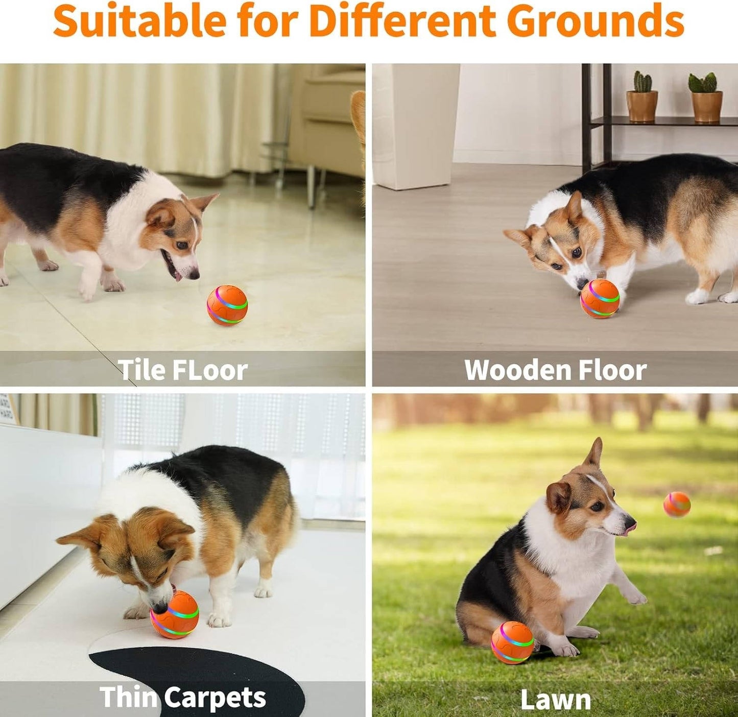 Interactive Dog Ball Toy