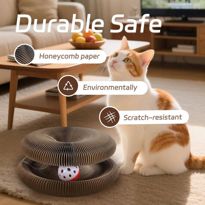Cat Scratcher with Ball Track