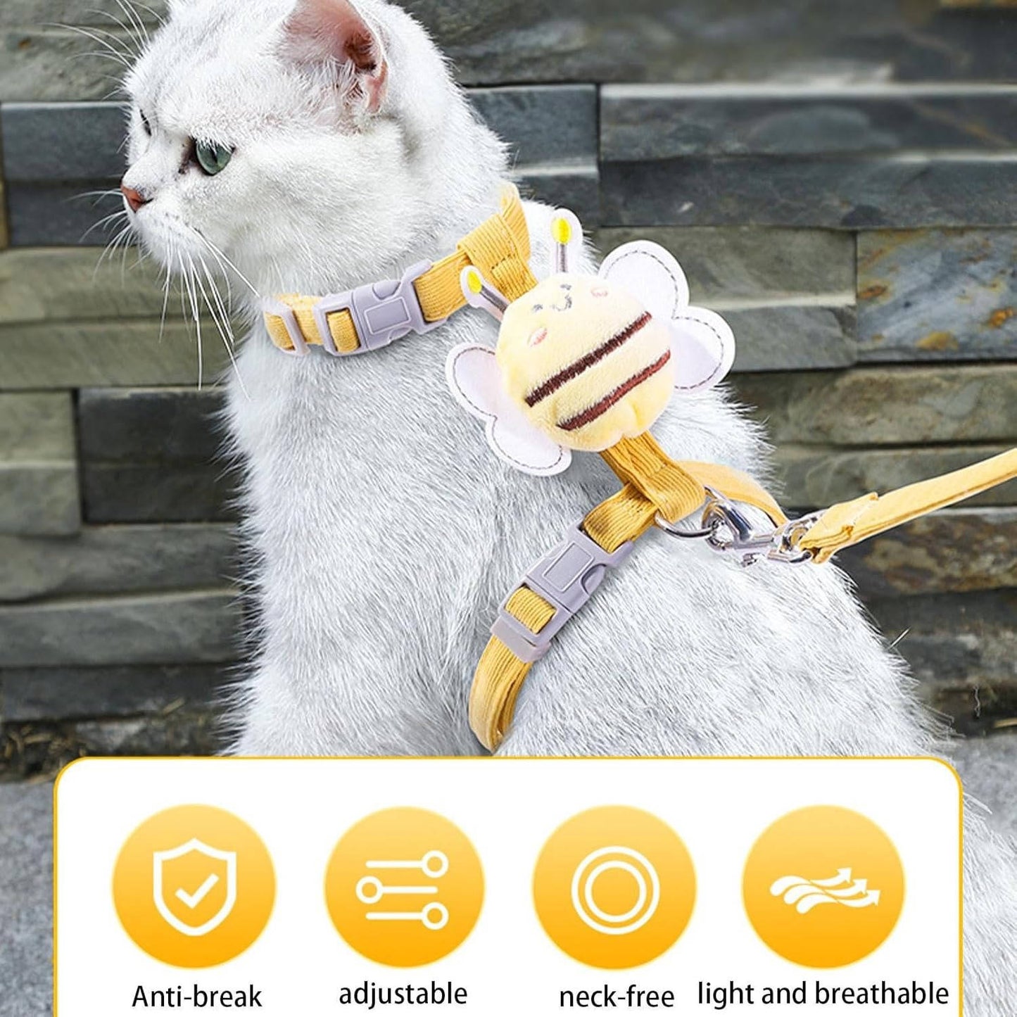 Cat Collar And Harness