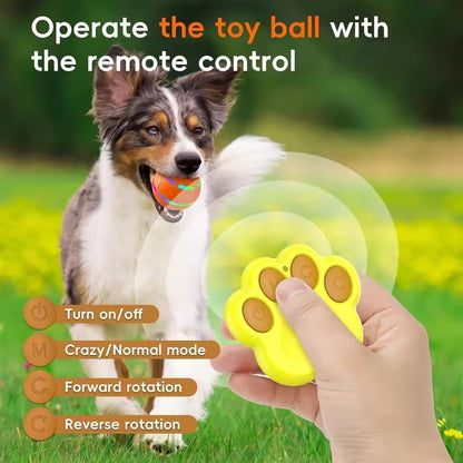 Interactive Dog Ball Toy