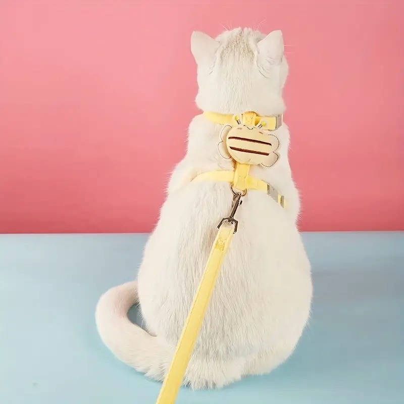 Cat Collar And Harness