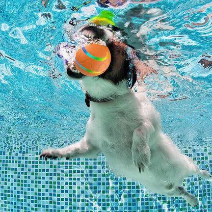Interactive Dog Ball Toy