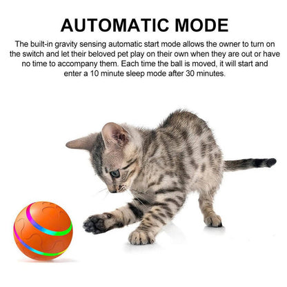 Interactive Dog Ball Toy