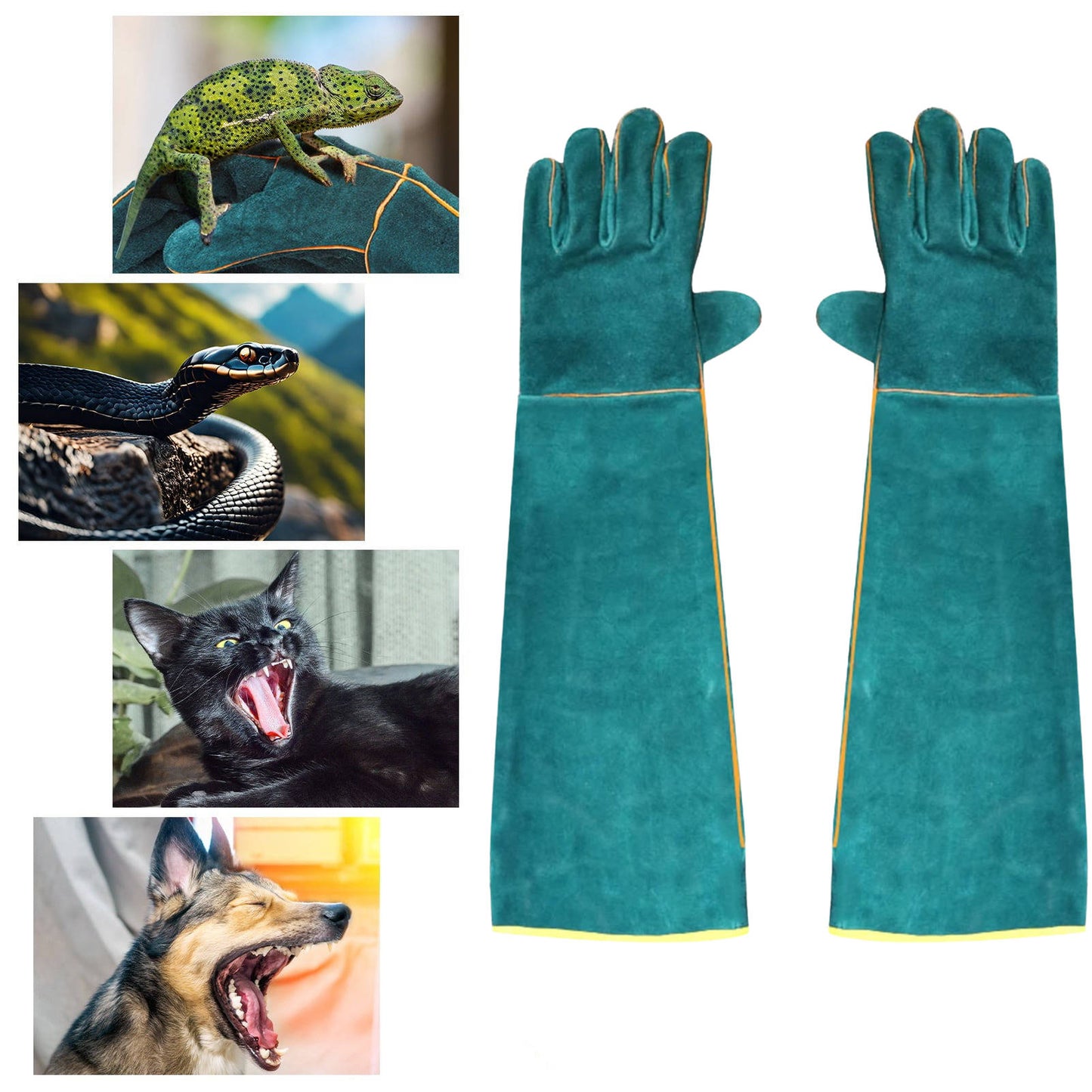 Bite Protection Gloves